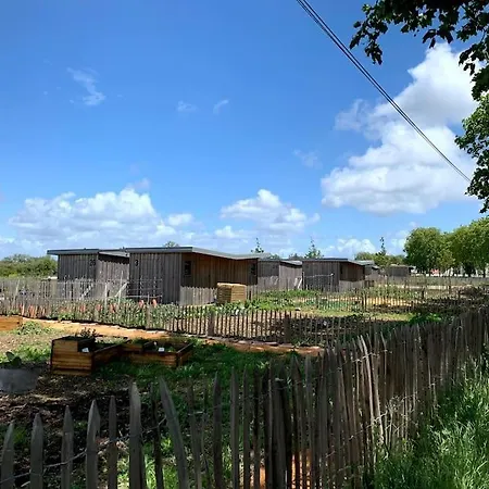 Maison De La Greve - Coeur De Avec Cour 別荘