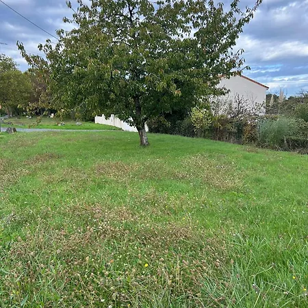 Maison De La Greve - Coeur De Avec Cour *